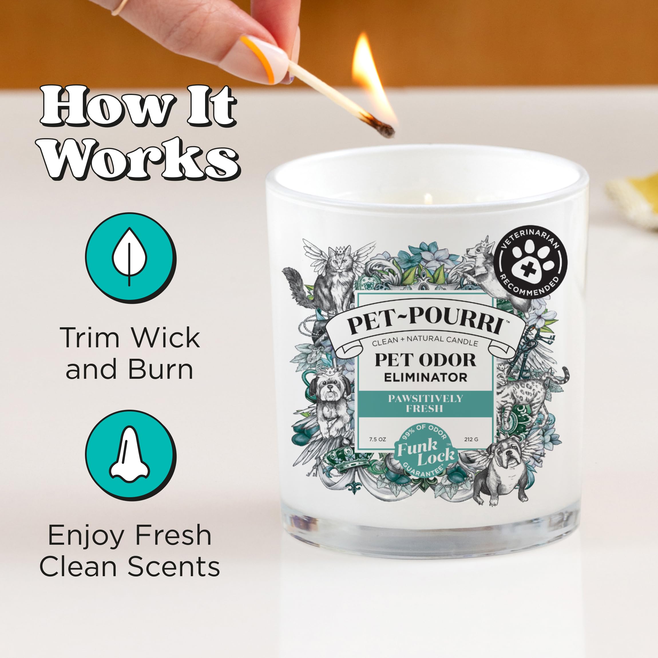 Pet Safe Deodorizer Candle - Plant Based Wax for Pet Odor - Pineapple Scent for Home & Grooming
