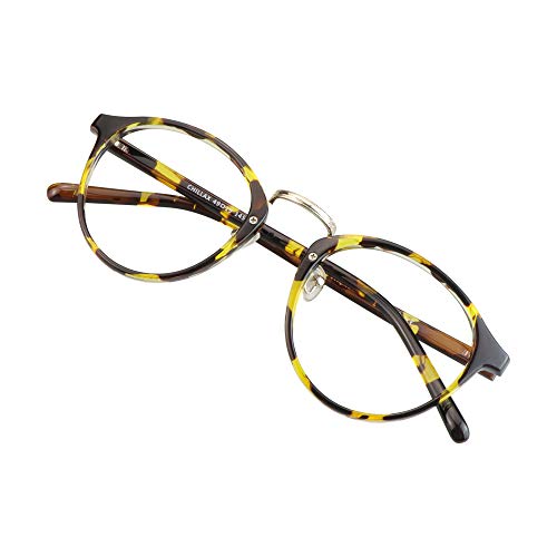 9951_tortoise(c4)