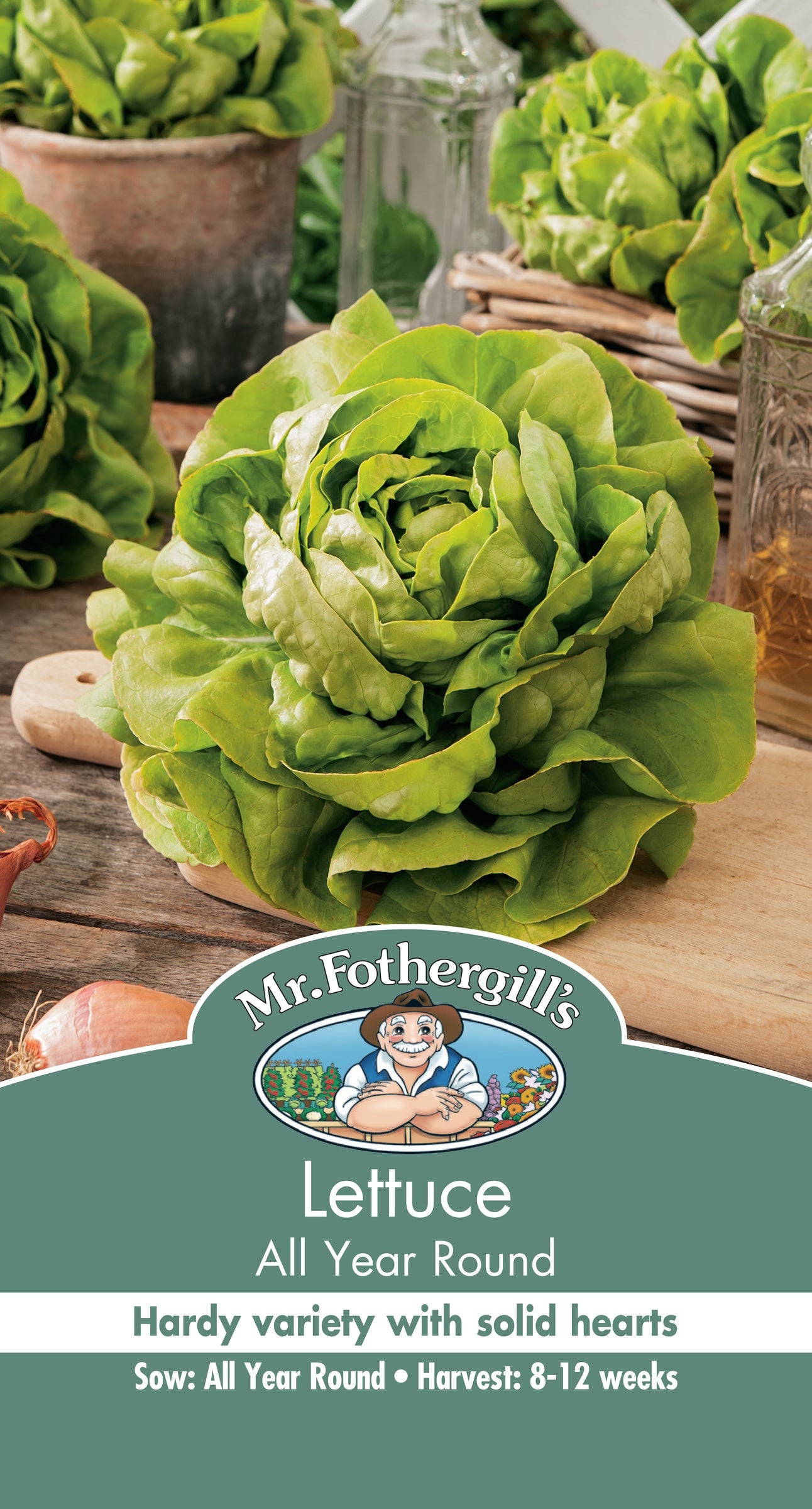 All Year Round Lettuce Seeds for Home Gardening – Grow Fresh Salad Greens Indoors or Outdoors