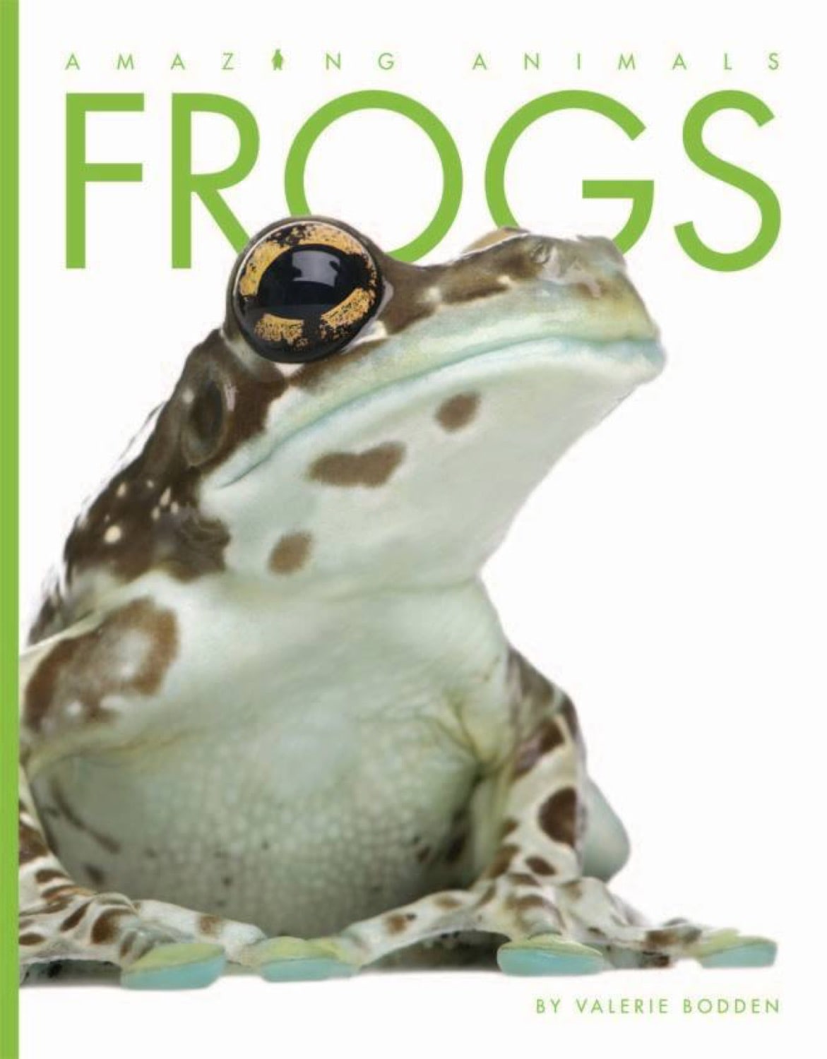 Amazing Animals (2014): Frogs - Educational Wildlife Documentary for Kids & Nature Lovers | Perfect for Classroom Learning & Family Movie Nights