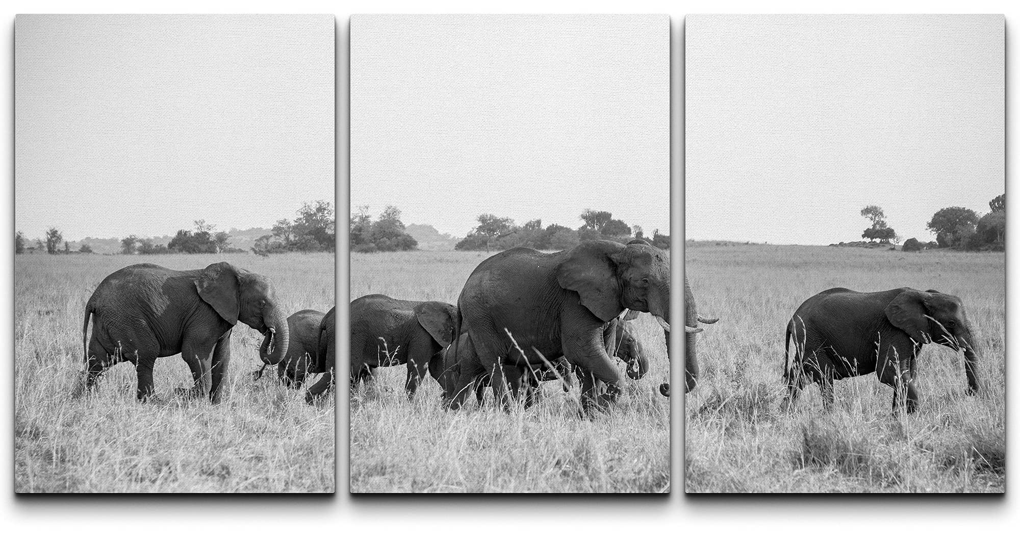 Black and White Elephant Canvas Wall Art - 3 Panels 24