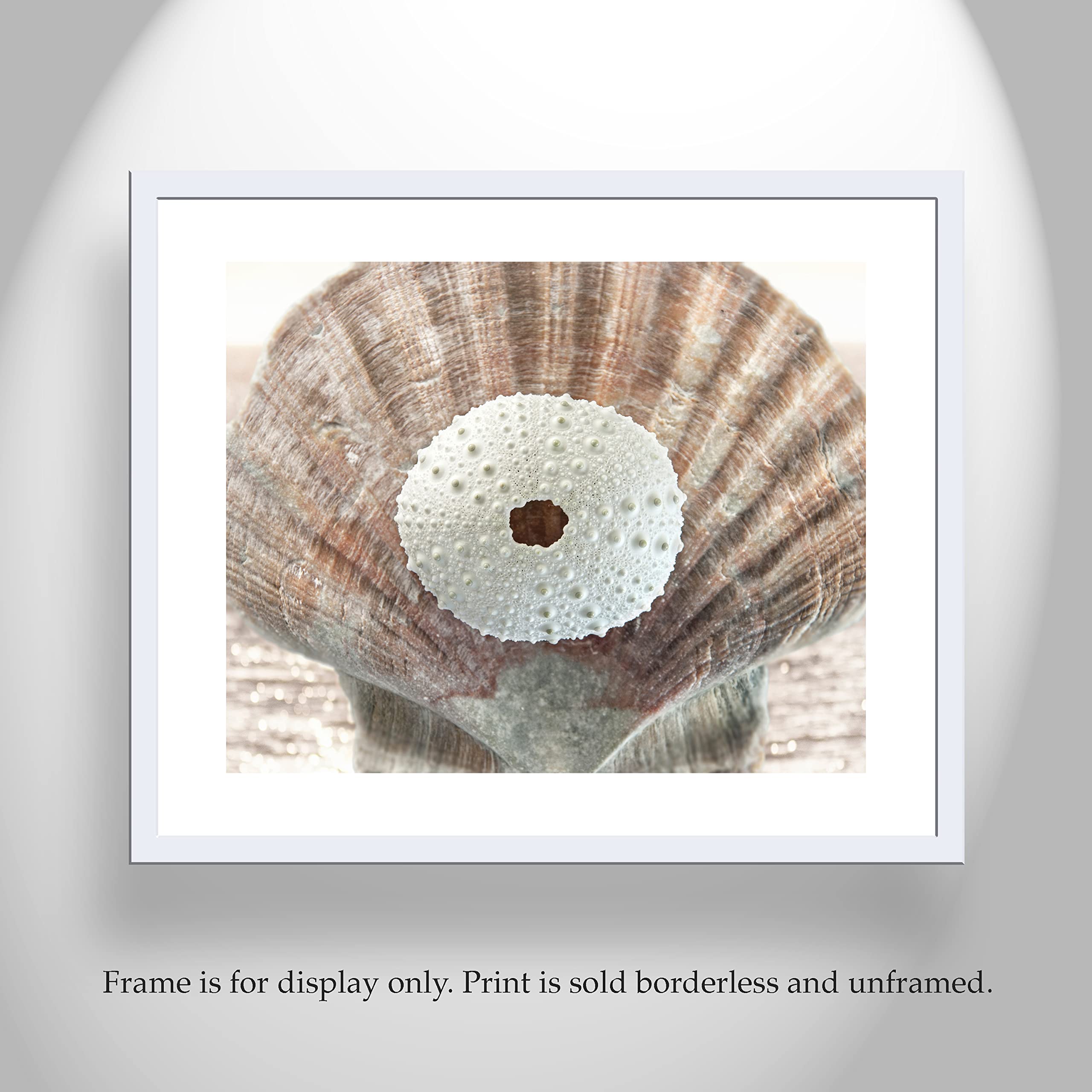 Surreal Seashell Art Print - Ready to Hang Canvas Wall Decor by Murray Bolesta | Perfect for Beach House, Coastal Living Room & Boho Bedroom Decor