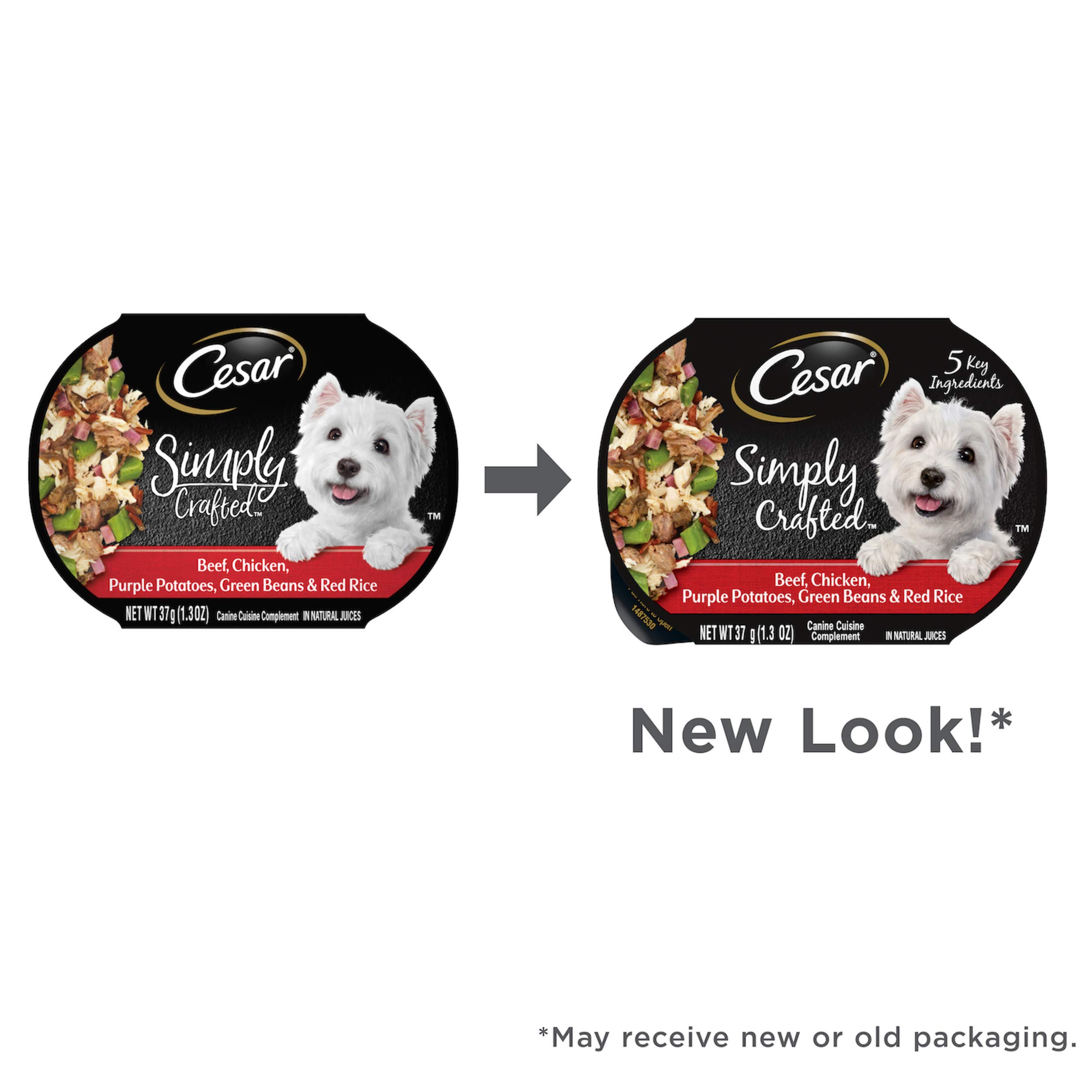 CESAR SIMPLY CRAFTED Adult Soft Wet Dog Food Meal Topper - Beef & Chicken Recipe with Purple Potatoes, Green Beans & Red Rice - 1.3 oz Tubs (Pack of 10) - Perfect for Picky Eaters & Senior Dogs
