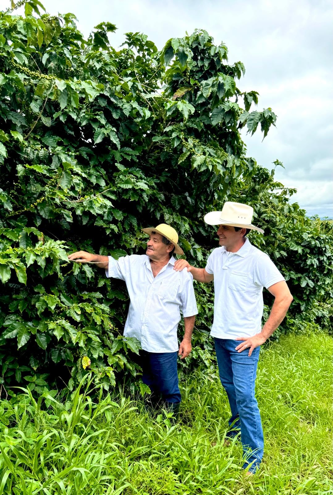 Benedito Espresso Dark Roast Ground Coffee - Single Origin Brazilian Coffee - Direct Trade - Family-Owned Farm to Cup - 12oz Bag - Perfect for Home Brewing, Office & Gifts