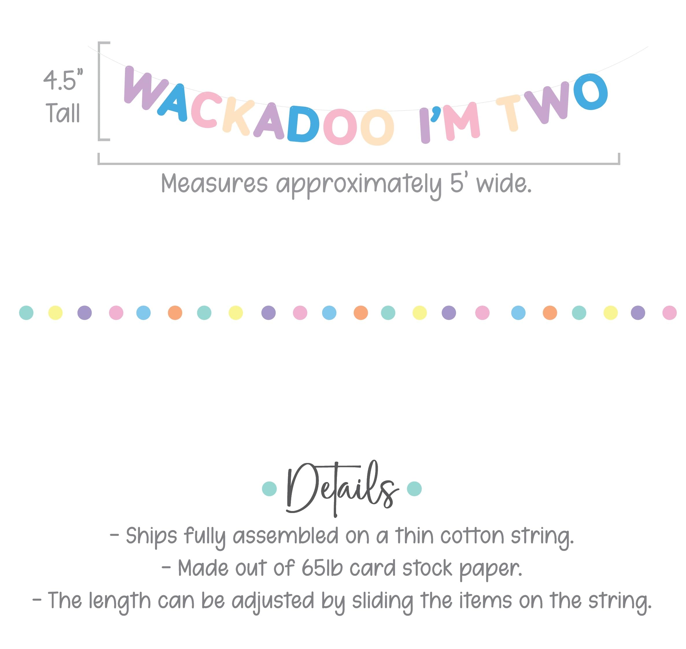Wackadoo I'm Two Birthday Banner - Blue 2nd Birthday Party Decorations for Kids - Perfect for Baby's Second Birthday Party, Nursery Decor & Photo Backdrop