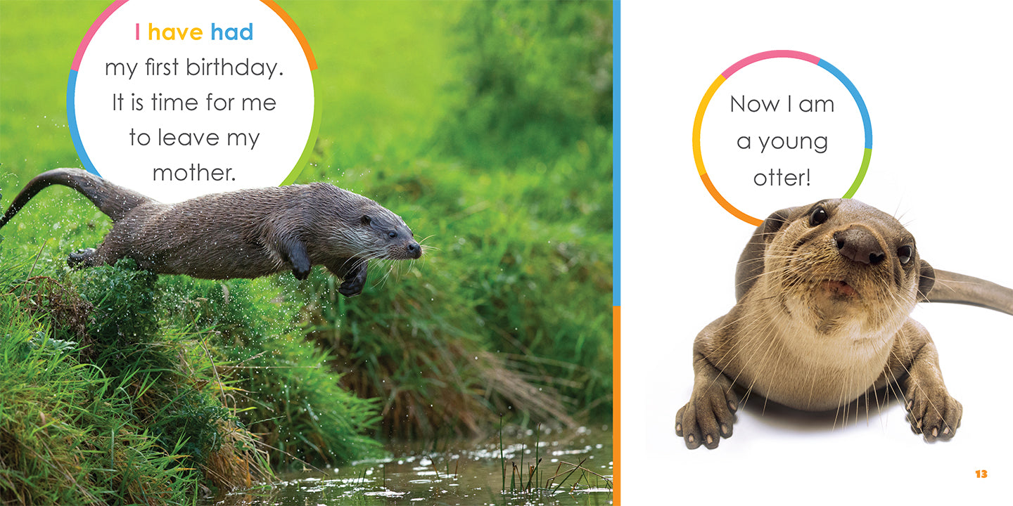 Adorable Baby Otters Book - ISBN 9781640263529 - Perfect for Kids' Storytime & Animal Lovers Gift