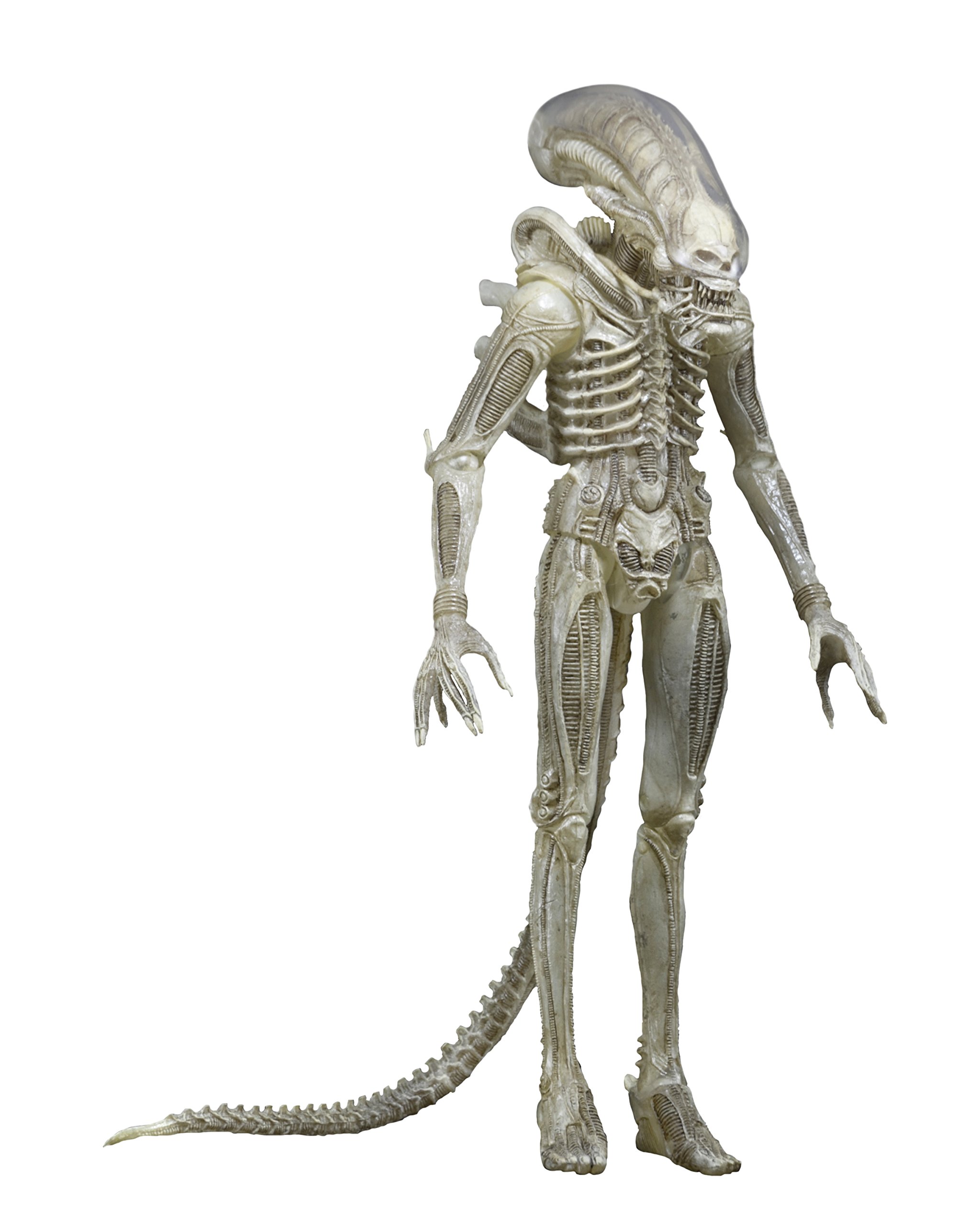 NECA Aliens Series 7 Concept 79' 7-Inch Action Figure - Xenomorph Collectible Toy for Sci-Fi Fans & Movie Enthusiasts - Perfect for Display, Collecting, and Role-Playing Scenes