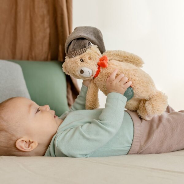 Bruno Soft Plush Teddy Bear - Adorable Stuffed Animal Toy for Kids, Gifts & Nursery Decor | Perfect for Cuddling, Playtime & Bedtime Comfort