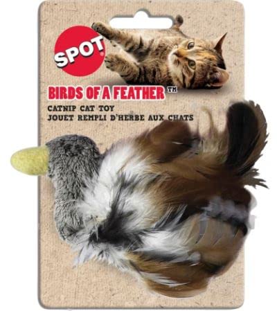 Ethical Pet 3 Pack Birds of a Feather Cat Toys - Colorful Feather Catnip Toys for Indoor Cats - Perfect for Playtime, Exercise & Bonding with Your Feline Friend