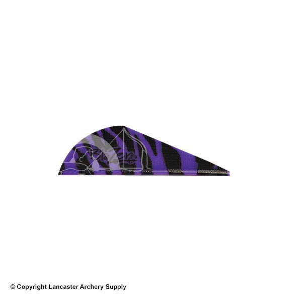 Purple Tiger
