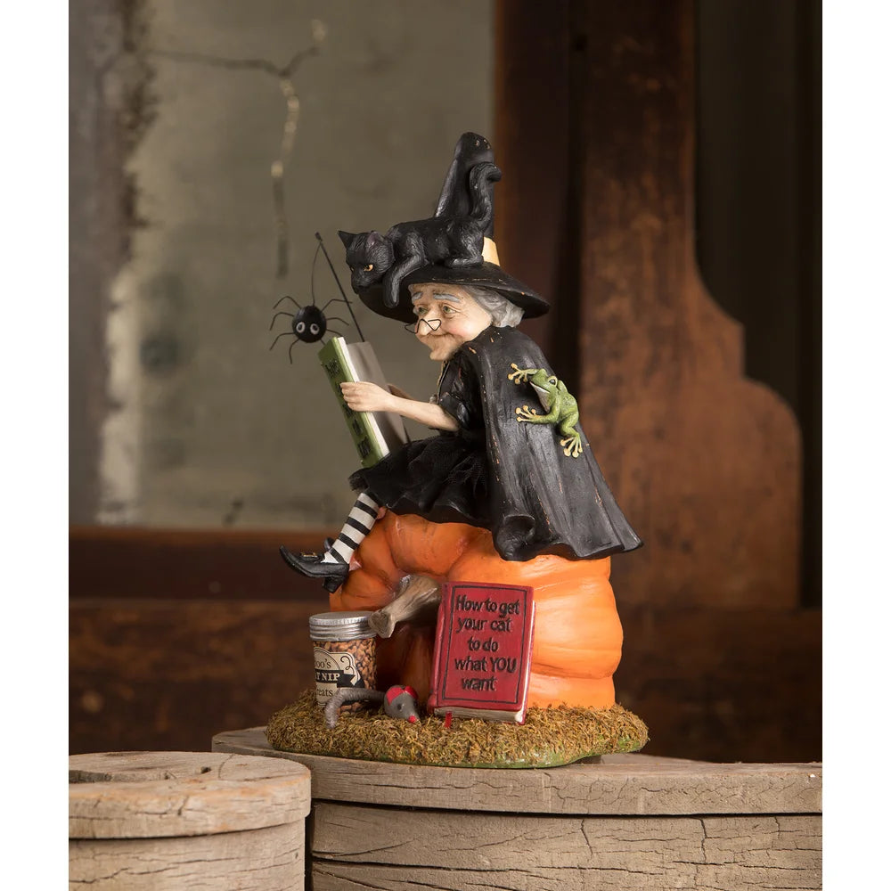 Bethany Lowe Designs Black Cat Witch Training Guide - Halloween Decor & Witchcraft Accessories for Spooky Home & Party Themes