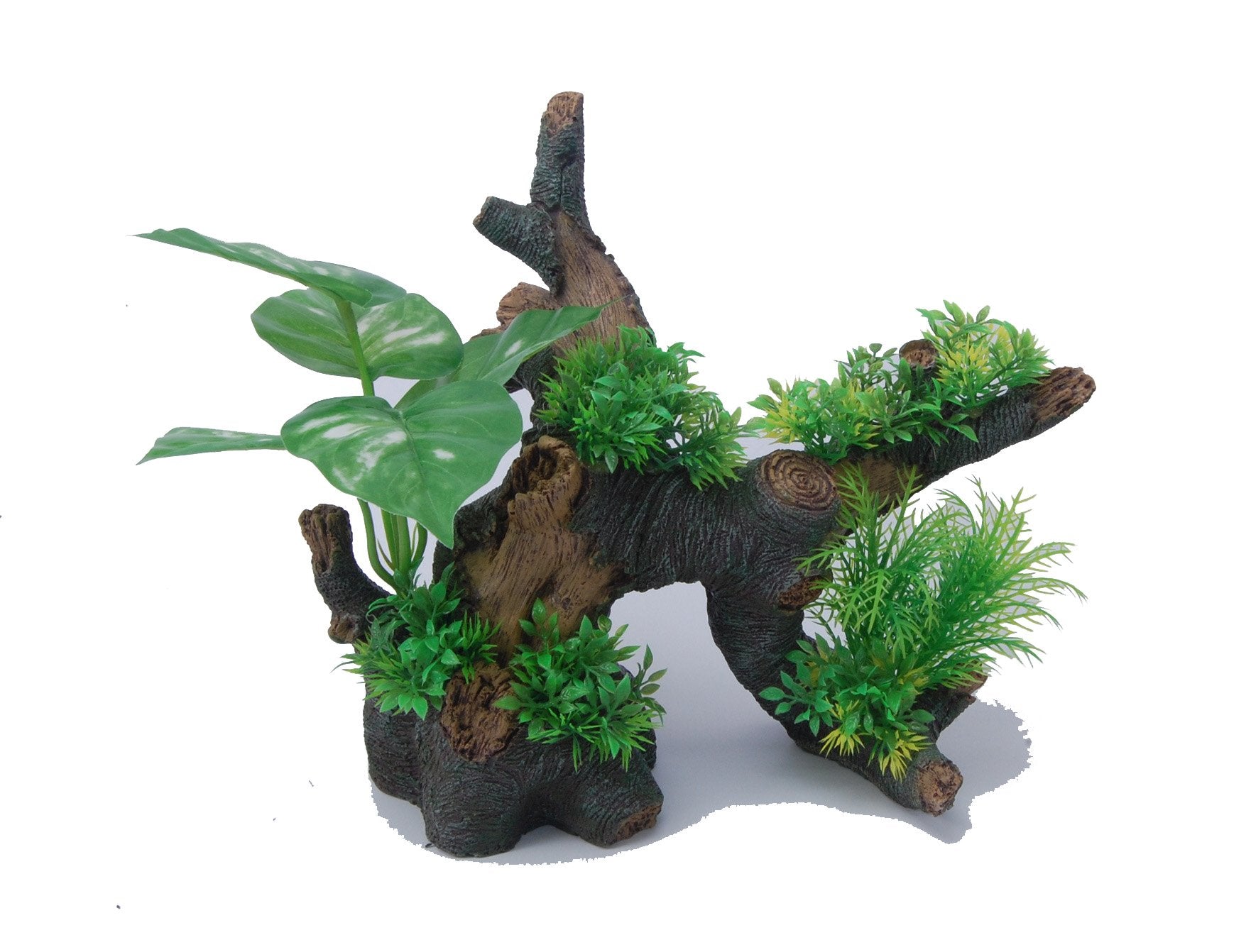 Aquatopia Mini Bonsai Tree Kit with Live Plants - Indoor Zen Garden Decor for Home, Office Desk & Meditation Space | Perfect Gift for Plant Lovers & Feng Shui Enthusiasts