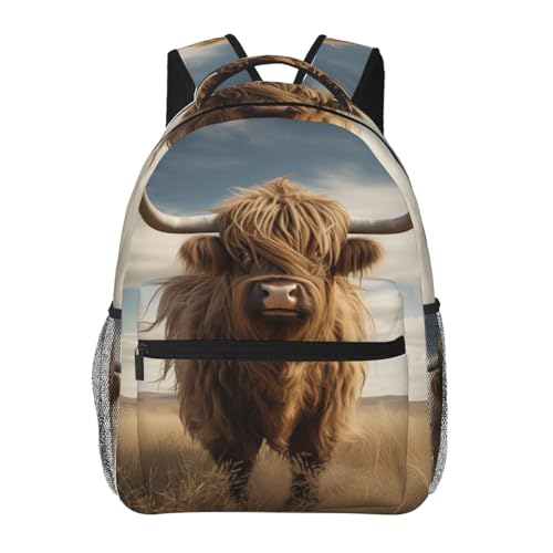 Highland Cute Cow