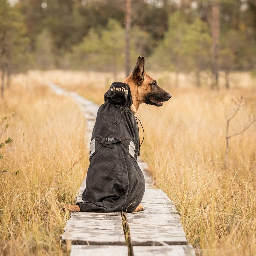 Back on Track Therapeutic Mesh Dog Coat 11-13In - Pain Relief & Joint Support for Small Dogs - Perfect for Arthritis, Hip Dysplasia & Post-Surgery Recovery