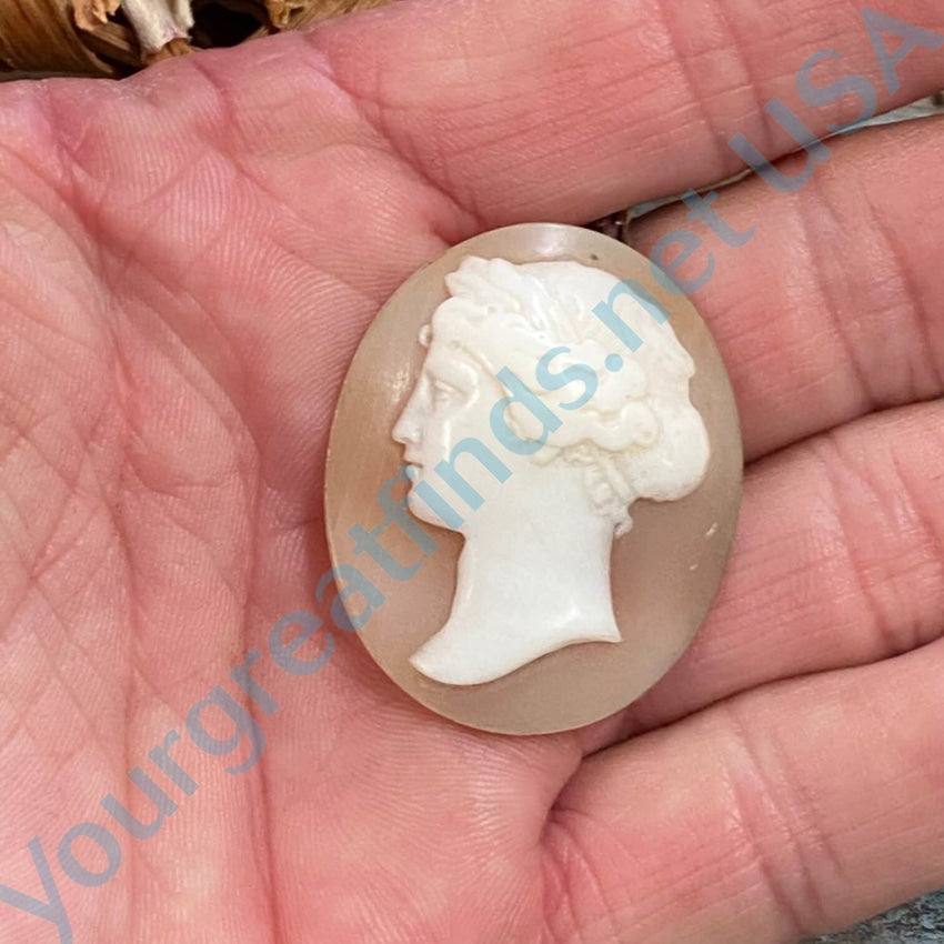 Vintage Antique Shell Cameo Pendant - Unset for Jewelry Making, DIY Crafting & Collectibles | Perfect for Necklaces, Brooches & Heirloom Gifts