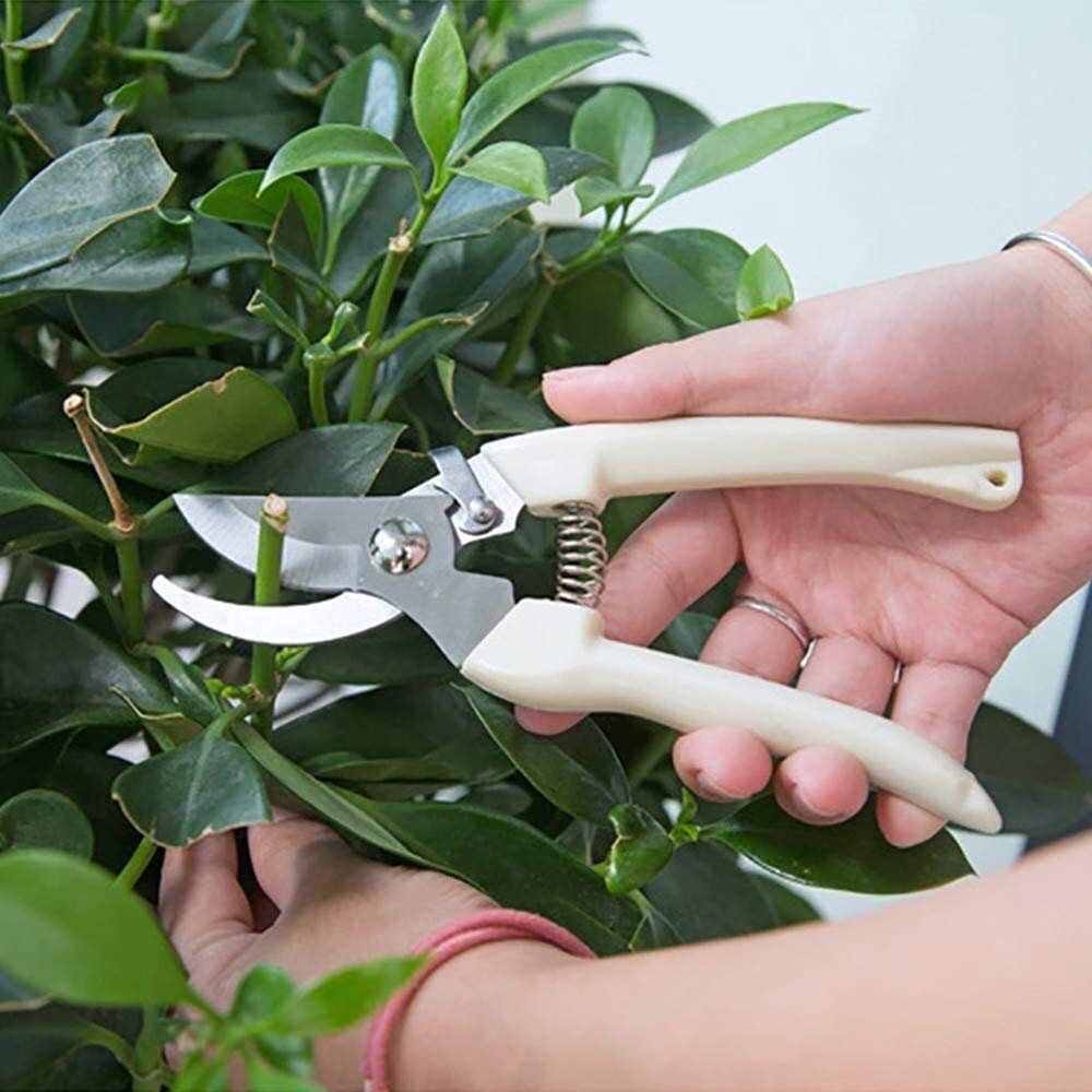 Premium Stainless Steel Garden Pruners - Professional Pruning Shears with Ergonomic Handle for Effortless Cutting | Ideal for Trimming Plants, Flowers, Shrubs & Small Branches | Perfect Gardening Tool for Home Gardeners & Landscapers