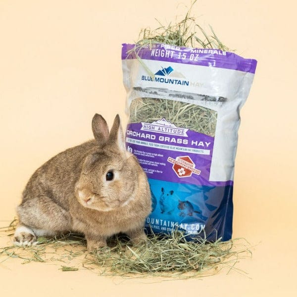 Premium Blue Mountain Hay - High Altitude Orchard Grass Hay for Rabbits, Guinea Pigs & Small Pets - Natural Forage for Healthy Digestion - Perfect for Feeding, Nesting & Playtime