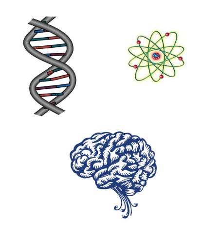 Science Temporary Tattoo Stickers for Kids - 50 Pcs Educational STEM Themed Fake Tattoos - Perfect for Classroom Activities, Science Parties & Costume Dress Up