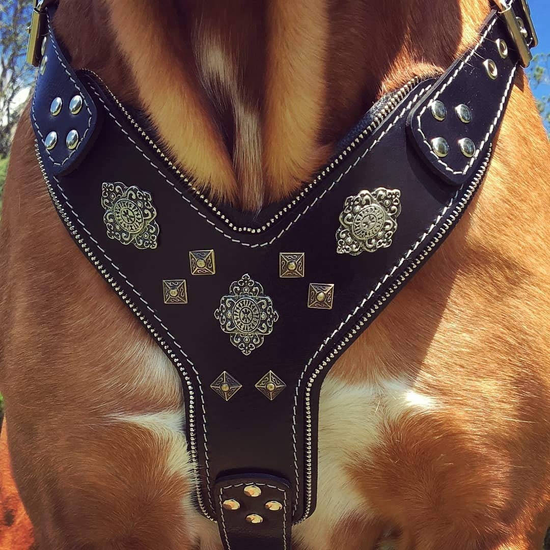 Bestia Aztec Black Chest Plate Harness - 2 Tone Rivet & Zipper Decorations - Handmade in Europe with Foam & Leather Padding - Perfect for Cosplay, LARP & Gothic Fashion