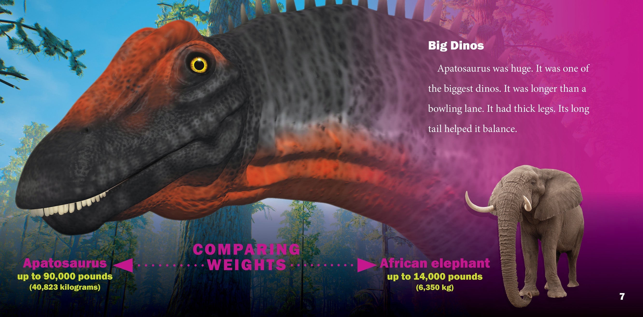 Apatosaurus Dinosaur Book 9781623104542 - Educational Kids Book for Learning & Fun, Perfect for School Projects & Gifts