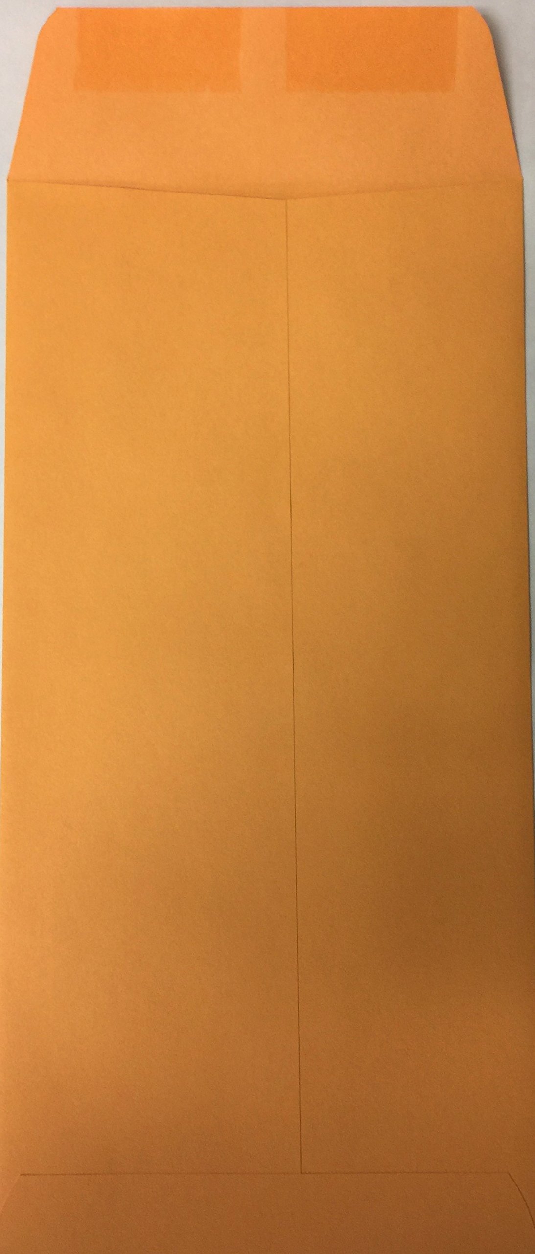 500 Moist & Seal Preprinted License Plate Envelopes - Self-Adhesive Weatherproof Envelopes for Vehicle Registration & DMV Documents - Perfect for Car Dealerships, Auto Shops & Government Offices