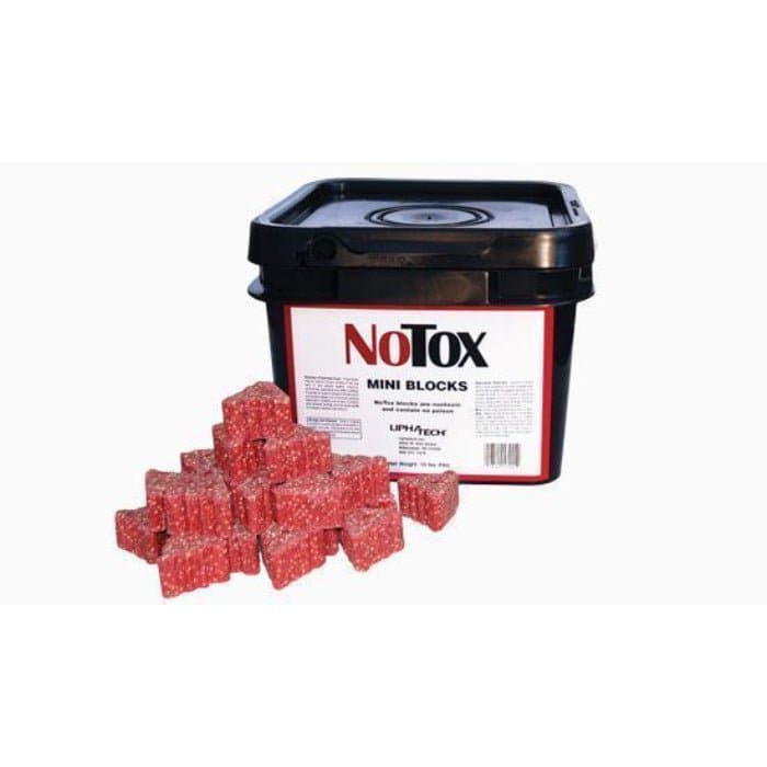 NoTox Mini Blocks - Safe Non-Toxic Building Toy for Kids Ages 3-6 | STEM Educational Construction Set | Perfect for Preschool Learning, Birthday Gifts & Creative Playtime