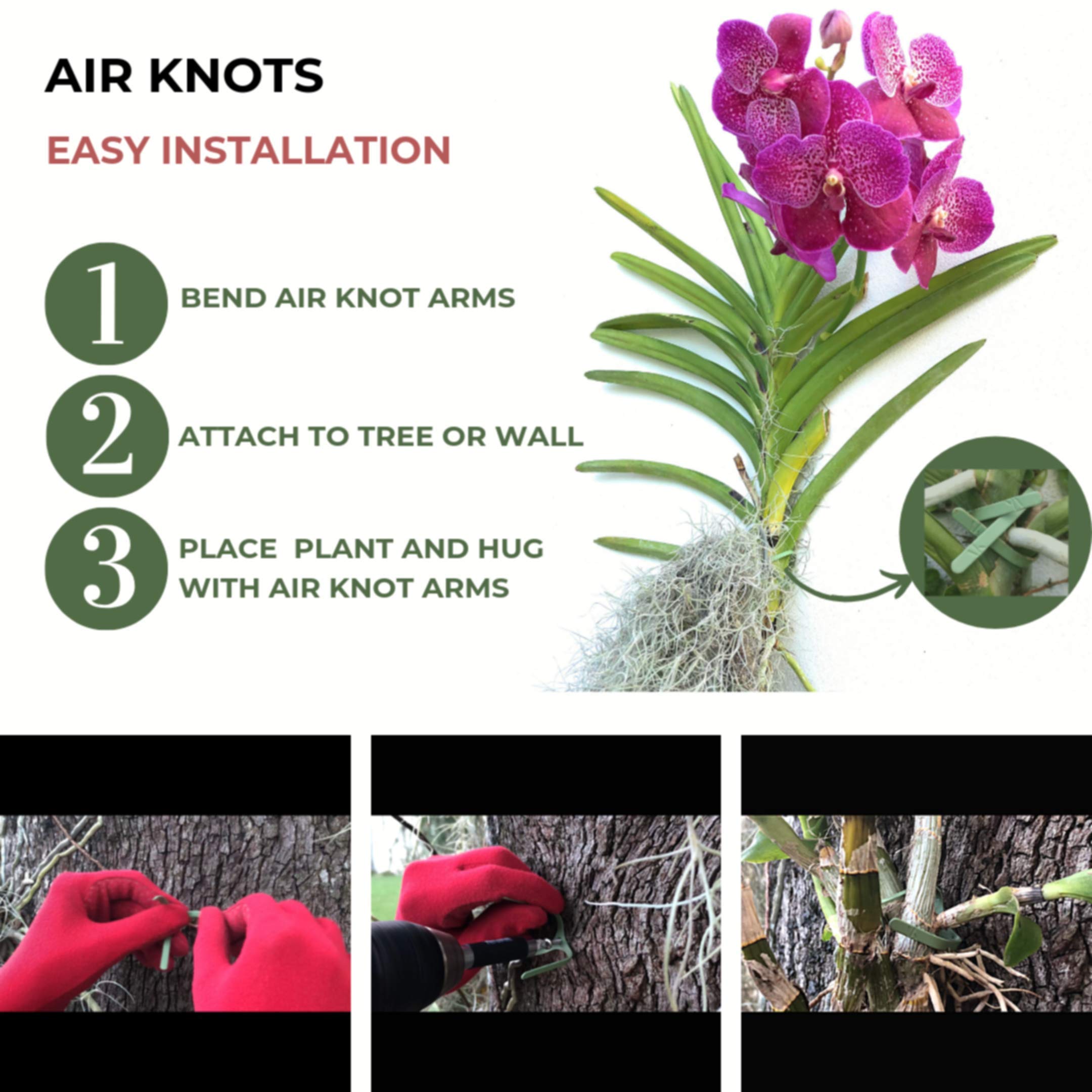 ArtAK Wall Planter Set of 5 - Modern Air Plant Holder & Orchid Mount with Rustic Plant Hooks | Perfect for Indoor Vertical Gardens, Home Decor, and Office Spaces
