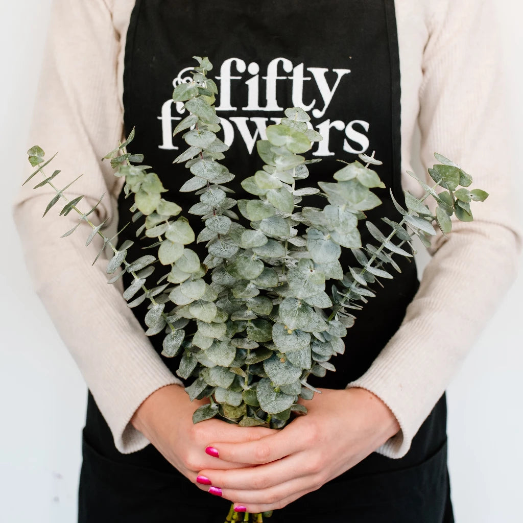 Fresh Baby Eucalyptus Greenery for Home Decor, Wedding Bouquets & Floral Arrangements - Natural Aromatic Leaves for DIY Crafts, Centerpieces & Spa Relaxation