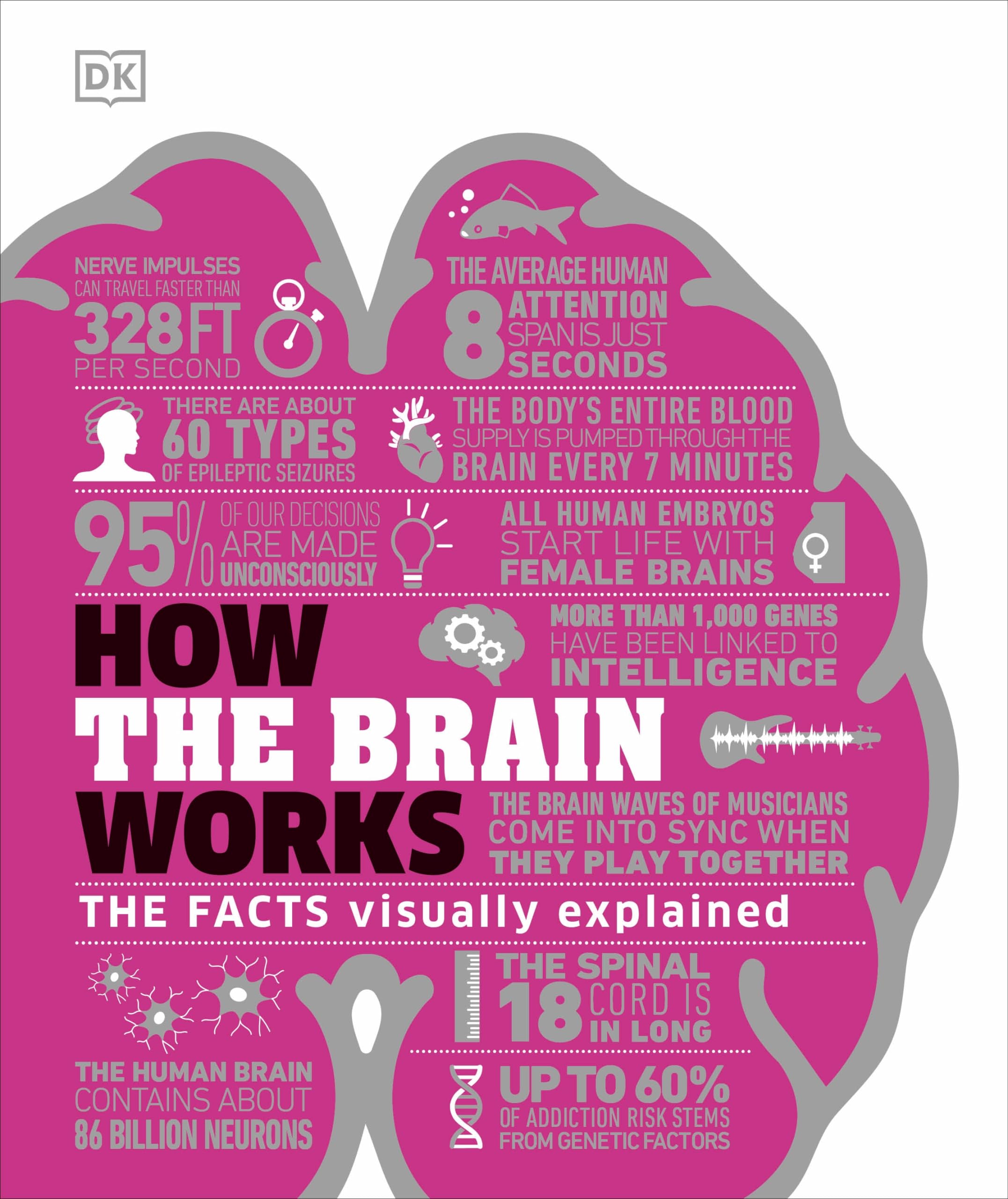 How the Brain Works: The Facts Visually Explained - DK How Stuff Works | Neuroscience Book for Students & Educators | Perfect for Learning & Teaching Human Anatomy
