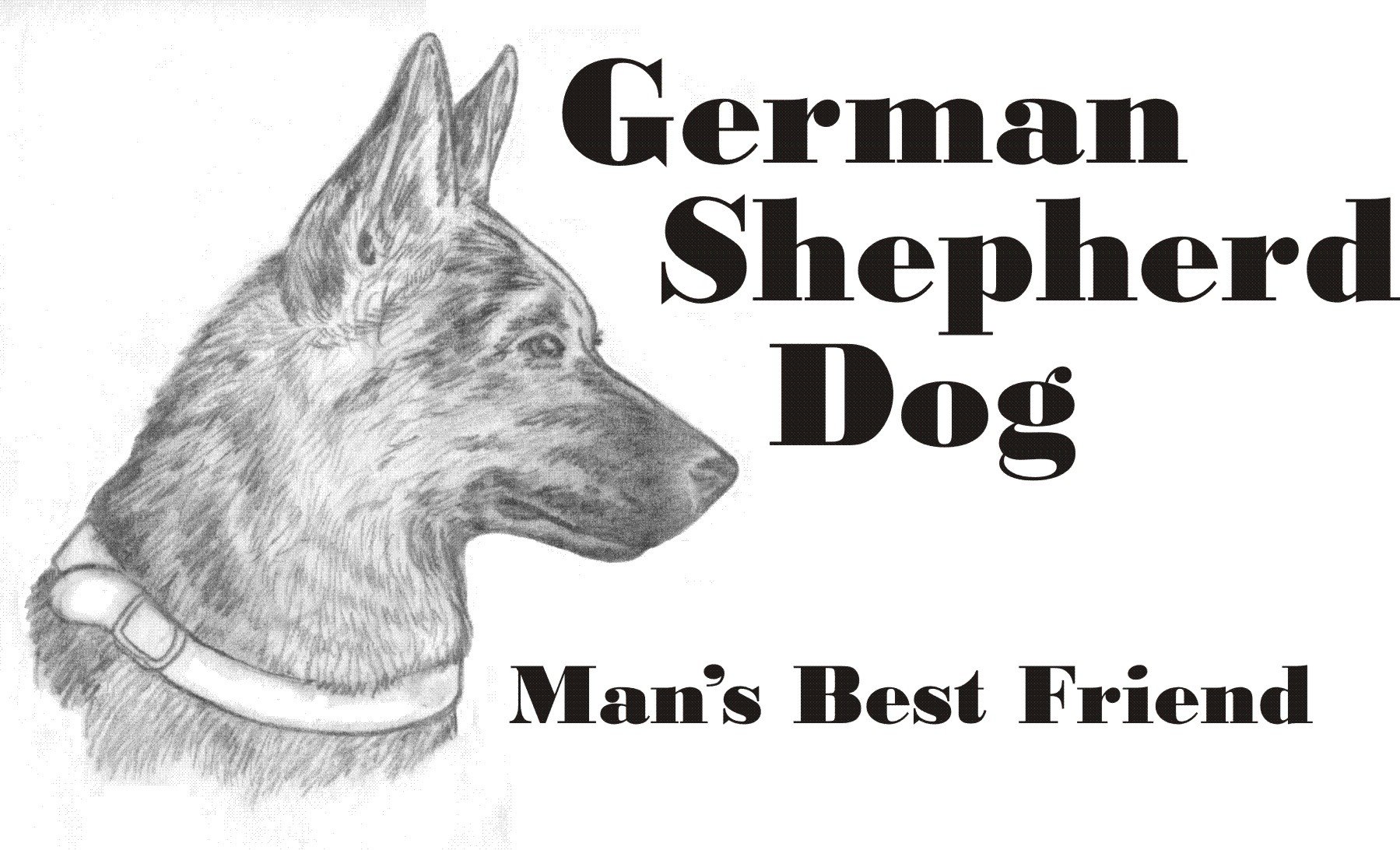 Cahoon's Closet German Shepherd T-Shirt for Men - Best Friend Pet Lover Gift - Perfect for Dog Owners & Animal Lovers