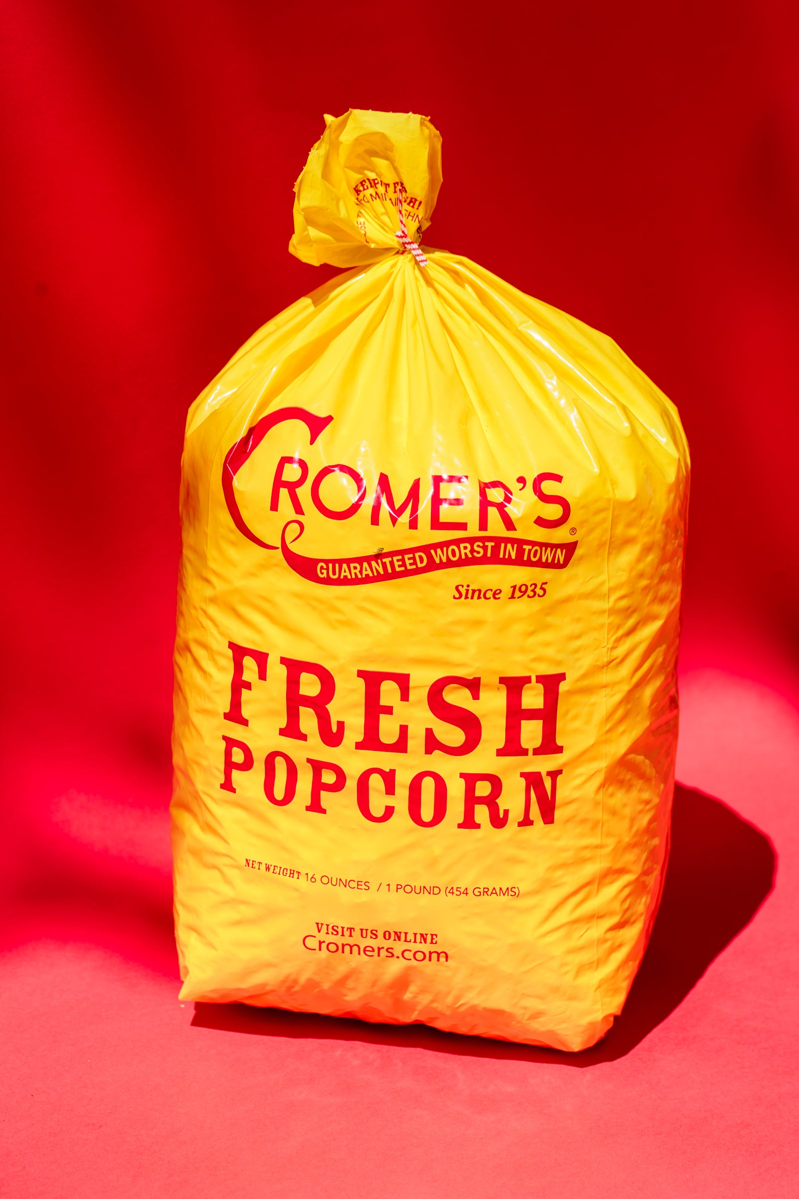 Premium Salted Butter Popcorn - 1 lb Resealable Bag - Movie Night Snack, Party Favor & Office Treat