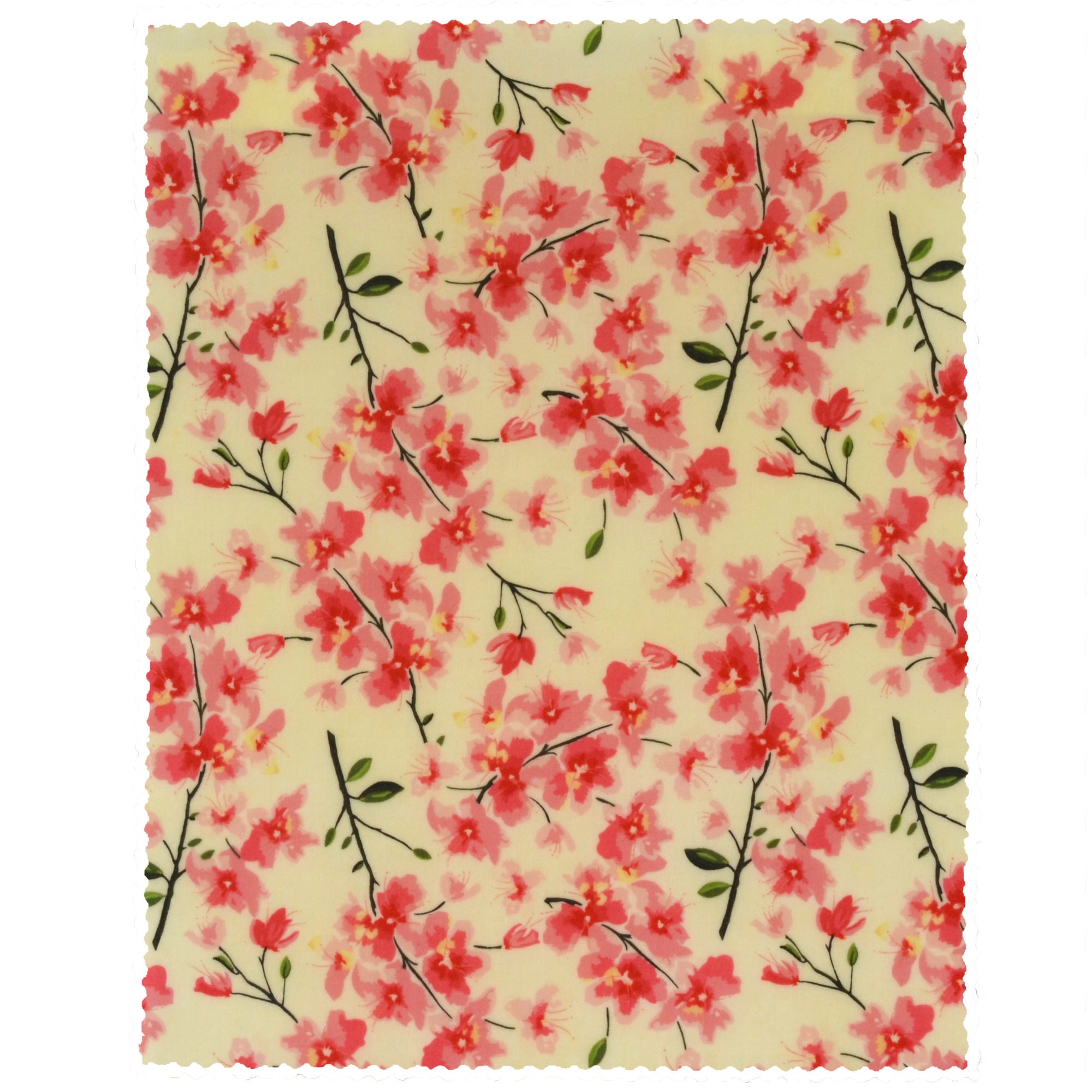 Eco-Friendly Primavera Medium Beeswax Food Wrap - Reusable & Sustainable Alternative to Plastic Wrap for Fresh Food Storage, Sandwiches, Cheese & Produce