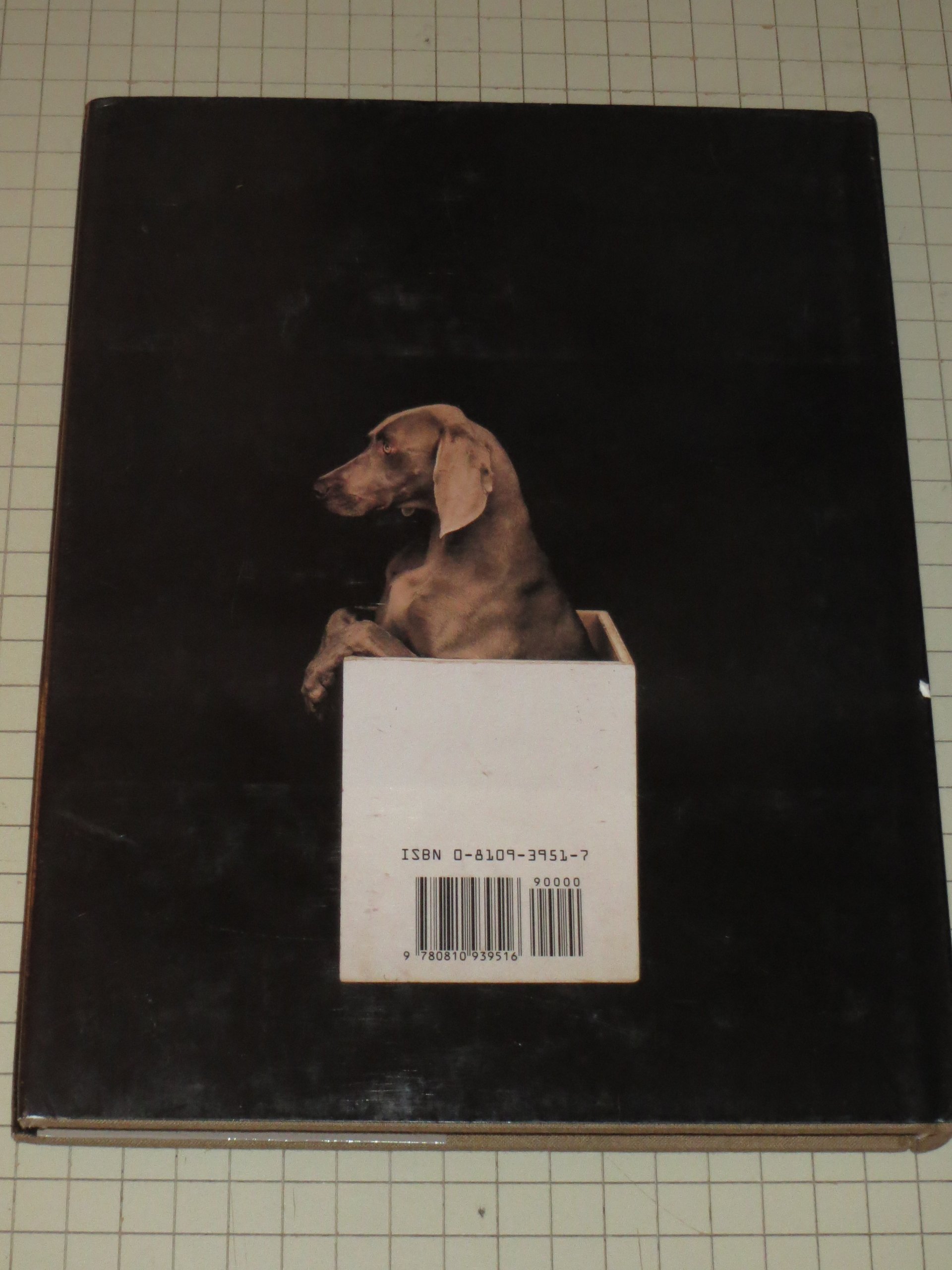 WILLIAM WEGMAN Art Book: Paintings, Drawings, Photographs & Videotapes - Edited by Martin Kunz with Essays & Interview - Perfect for Art Collectors & Photography Enthusiasts