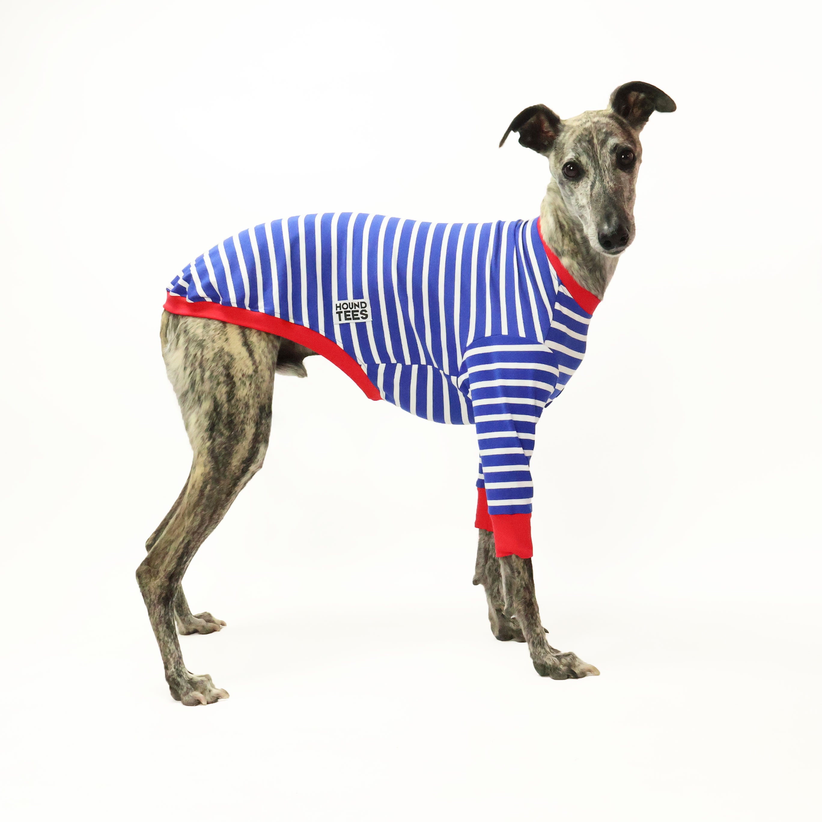 Blue Breton Whippet Long Sleeve Hound T-Shirt for Men - Comfortable Casual Dog Lover Tee for Everyday Wear & Outdoor Activities