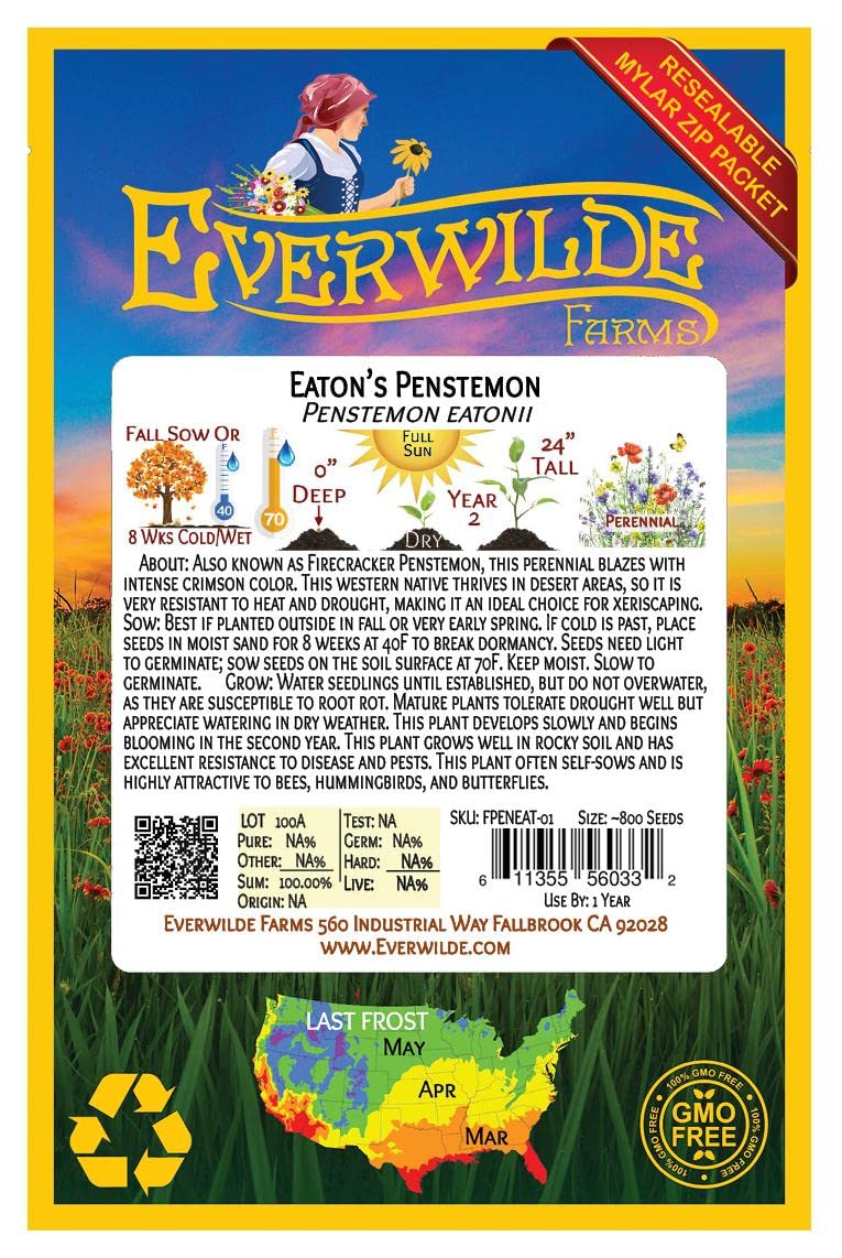 Everwilde Farms - 800 Eaton's Penstemon Native Wildflower Seeds - Gold Vault Seed Packet for Pollinator Gardens, Landscaping & DIY Projects