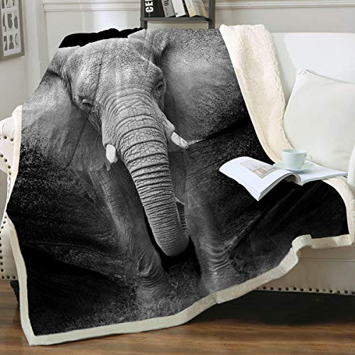 Night Elephant