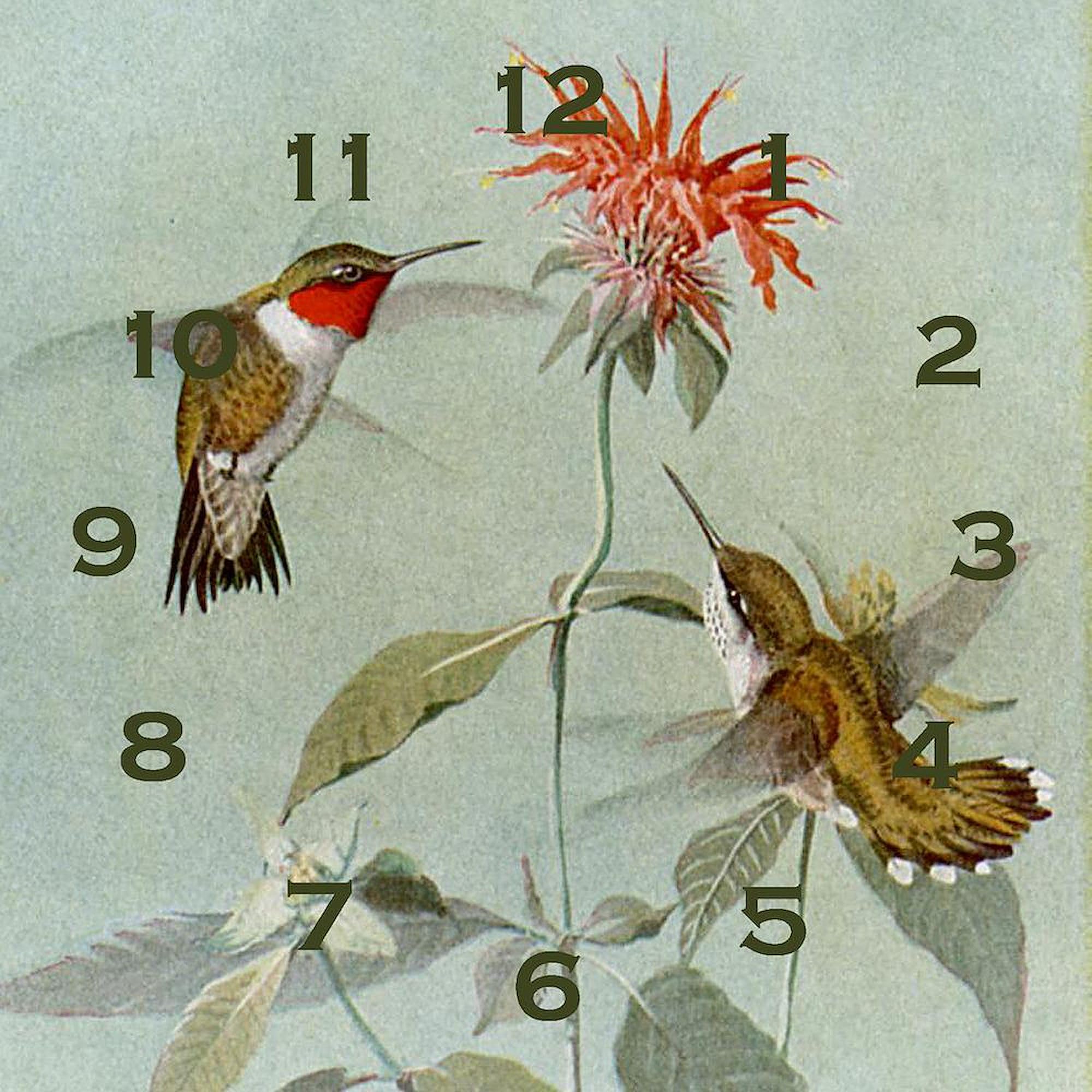 10 Inch Hummingbird Wall Clock - Decorative Silent Non-Ticking Clock for Living Room, Kitchen, Office | Perfect Home Decor Gift for Bird Lovers