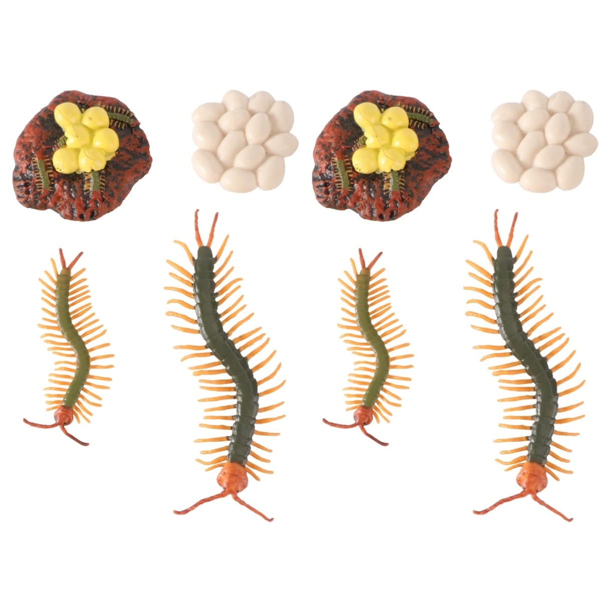 Toyvian 2 Sets Life Cycle Learning Toys - Plastic Centipede & Insect Figures for Kids, Montessori Science Education | Perfect for Classroom, Homeschooling & Nature Study Activities
