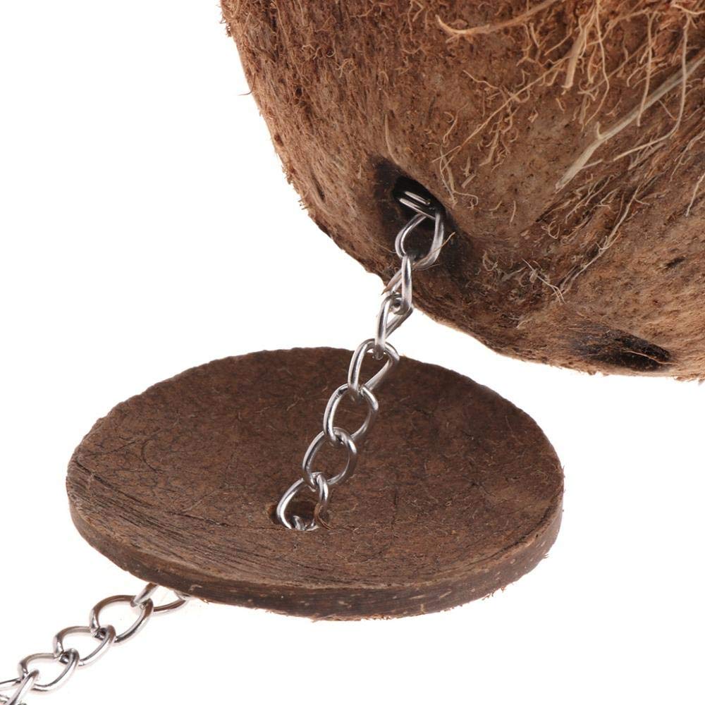 Natural Coconut Shell Bird Ladder & Swing House - 2Pcs Hanging Cage Toys for Parrots, Finches & Small Birds | Perfect for Climbing, Playing & Resting in Aviaries & Bird Cages