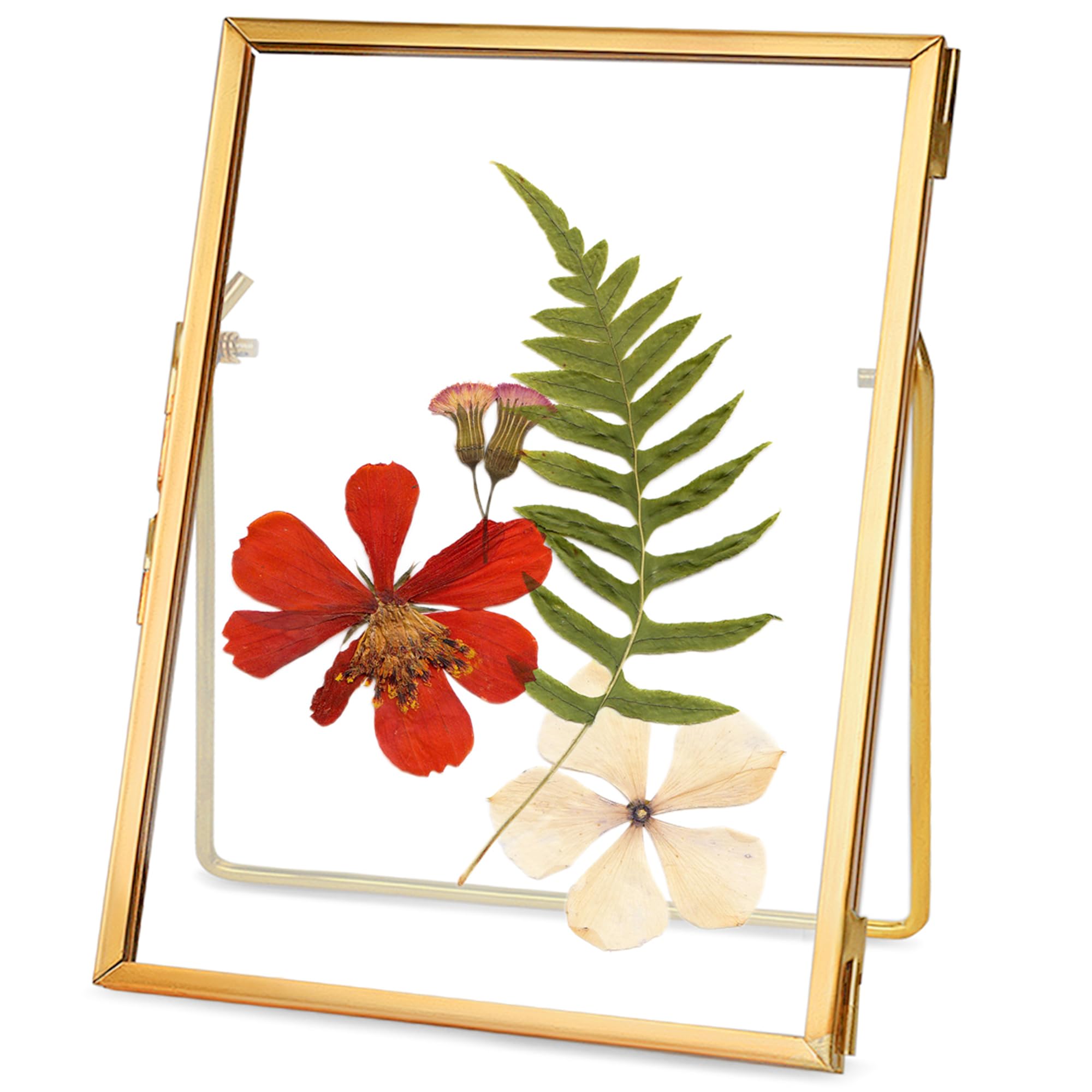 Handmade Glass Pressed Flower Frame - Floating Picture Frame for Dried Flowers, 4x6 Inch Brass Desk Photo Frame - Home Office Decor, Plant Specimen Display, Wedding Gift & Boho Wall Art (Gold)