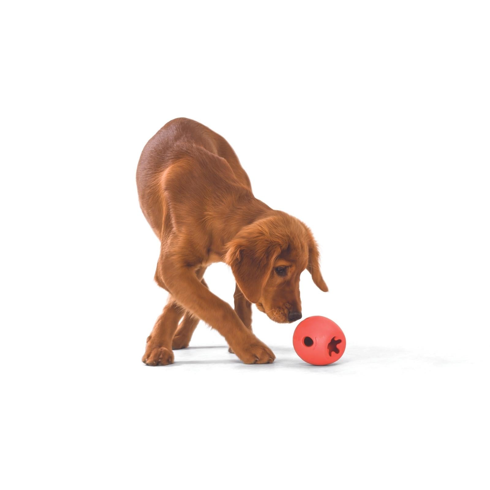West Paw® RUMBL Purple Dog Toy - Treat Dispenser & Chew Toy for Small & Large Dogs - Perfect for Playtime, Training & Mental Stimulation