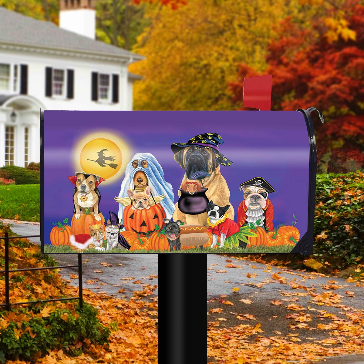 Briarwood Lane Halloween Magnetic Mailbox Cover - Trick or Treat Dogs & Cat Jack O'Lantern Design for Standard Mailboxes | Outdoor Fall Decor, Spooky Housewarming Gift, Front Porch Decoration