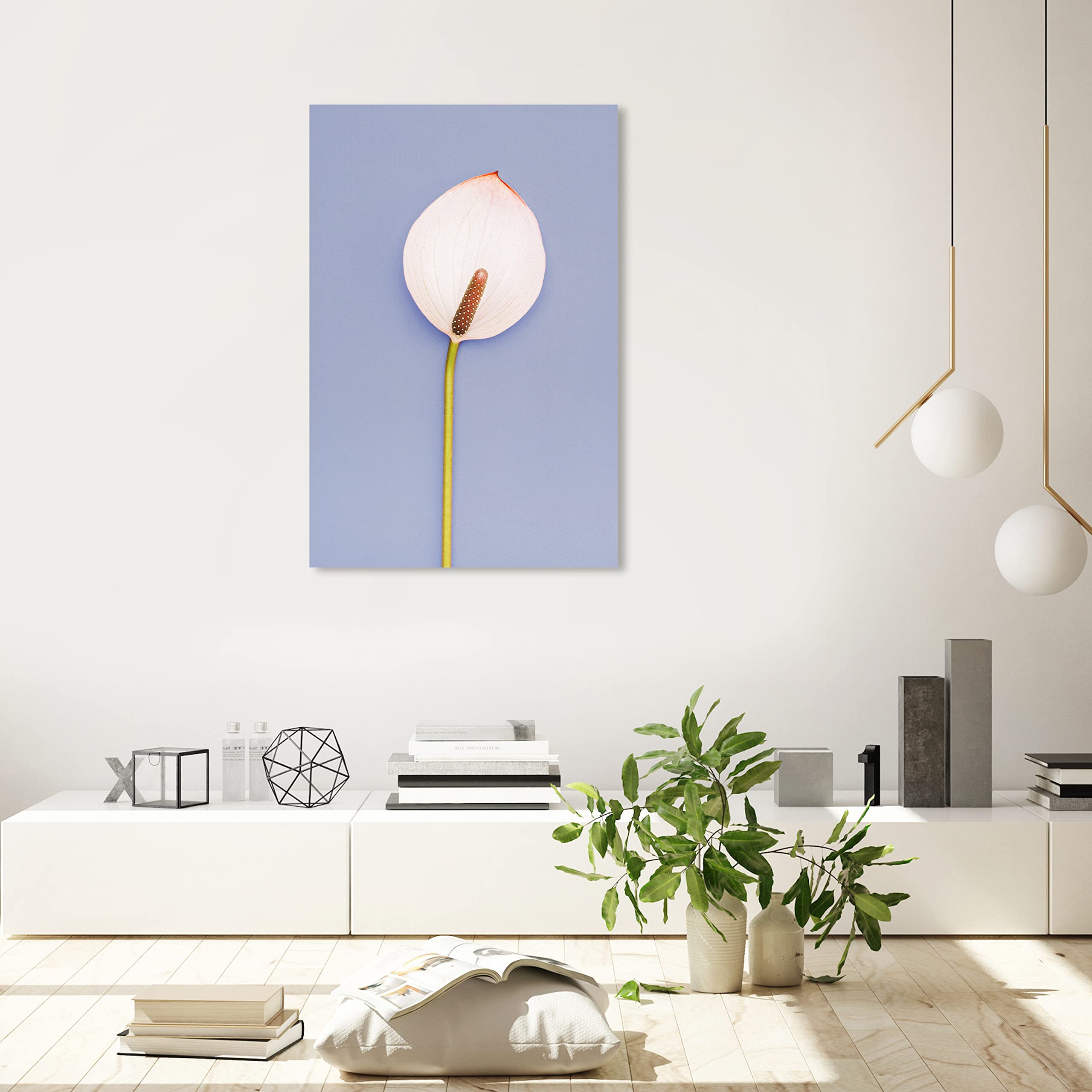 Oliver Gal Artist Co. Floral Wall Art Canvas Print 'Cala' - 24