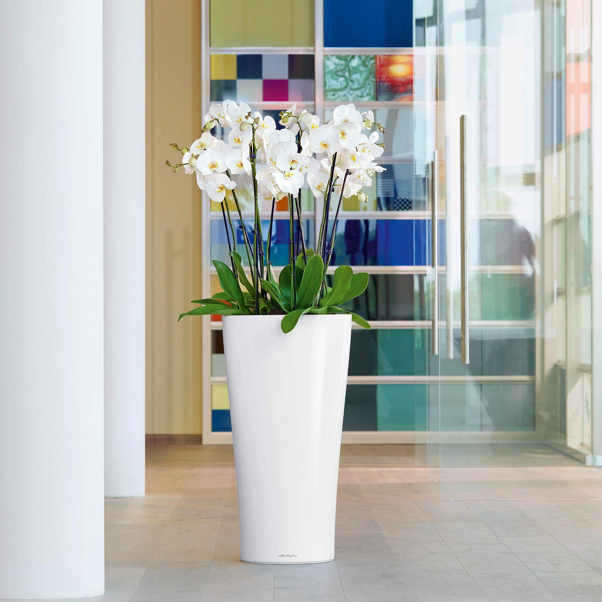 Lechuza Delta 30 Self-Watering Planter - 11.8