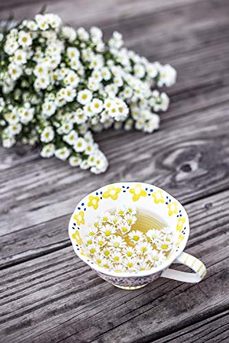 Hawaiian Paradise Chamomile Tea K-Cups - 12 Count Single Serve Pods | Sustainably Grown in USA | Compatible with Keurig Brewers | Perfect for Relaxation, Office & Home Use