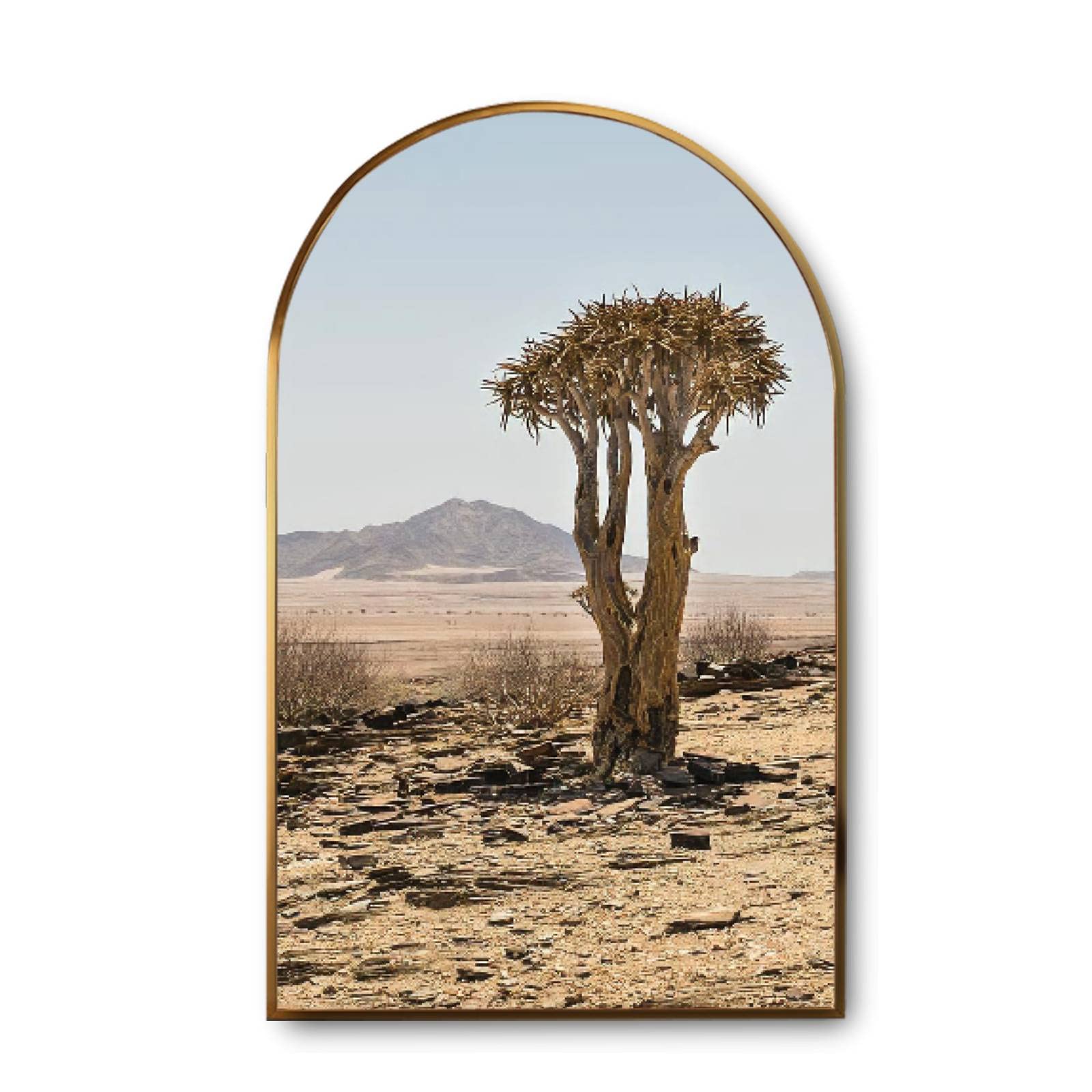Golden Framed Canvas Wall Art - Modern Giclee Print of Arch Isolated Quiver Tree (Aloe Dichotoma) Painting for Home Decor | Ready to Hang | Perfect for Living Room, Bedroom & Office Wall Decor
