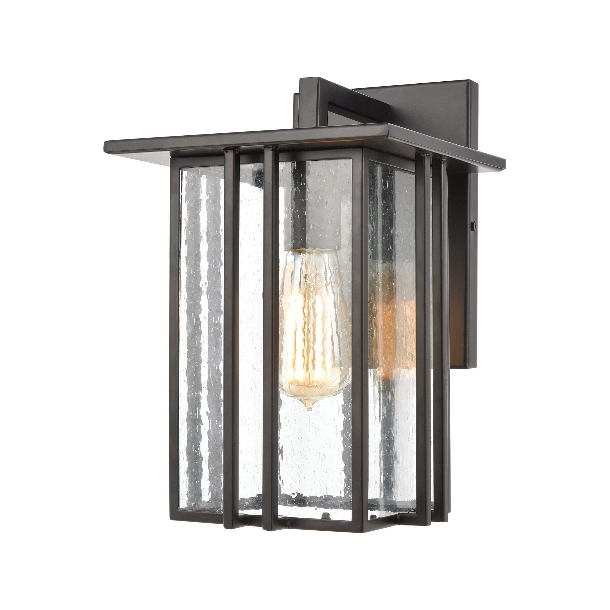 Radnor 1-Light Matte Black Wall Sconce with Seedy Glass - Perfect for Bedroom, Hallway & Bathroom Lighting