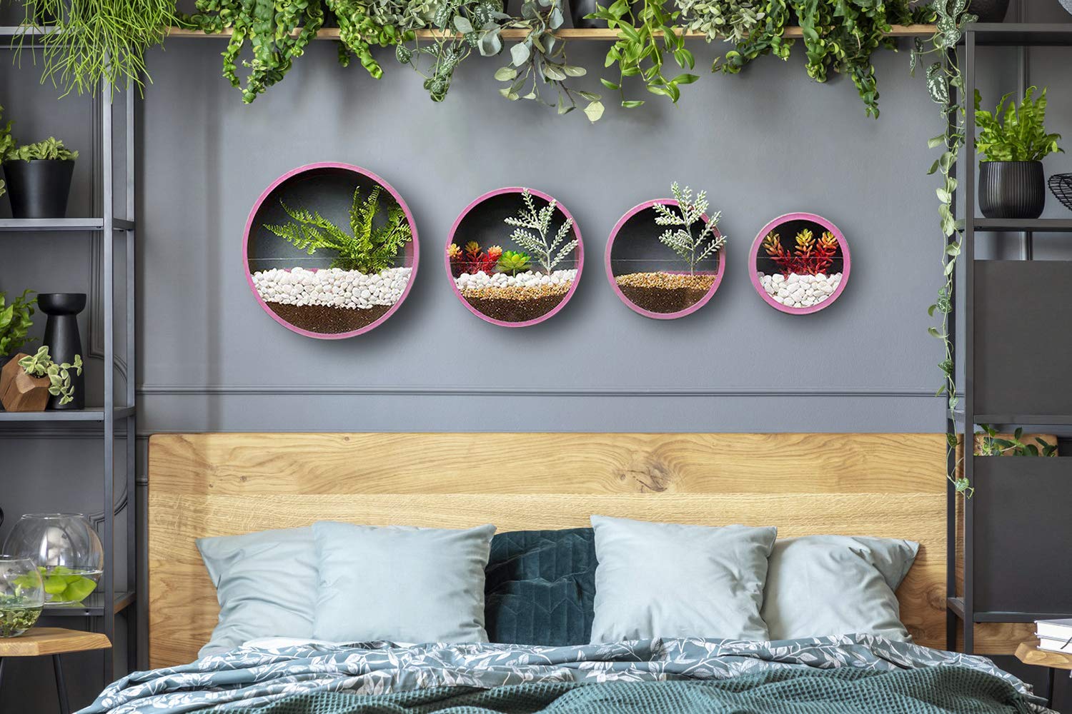 Ecosides 10