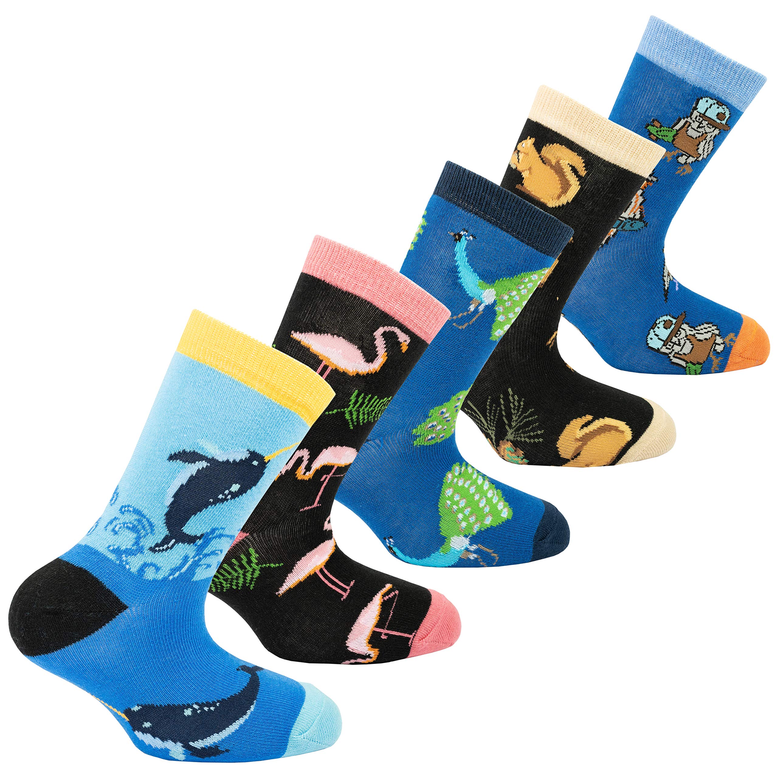 Kids 5-Pair Fun Cool Cotton Colorful Crew Socks Gift Box Set - Soft Breathable Dress Socks for Boys & Girls - Perfect for School, Parties & Daily Wear