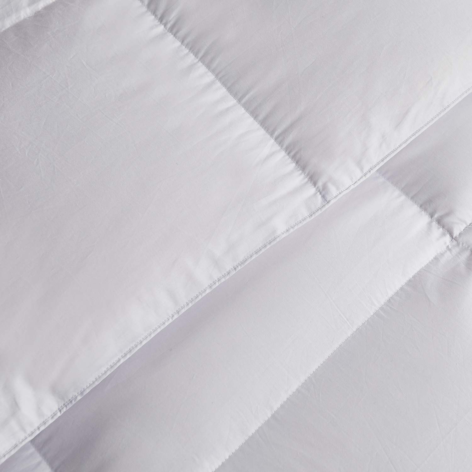Blue Ridge Home Fashions Pet Agree Basics Purisimo Down Alternative Comforter - 100% Cotton Hypoallergenic Bedding for Allergies & Pets - Soft Comforters for Bedroom, Guest Room & Pet-Friendly Homes
